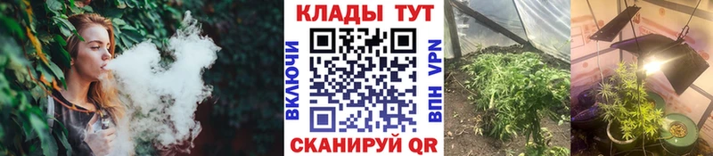 Псилоцибиновые грибы Юрьевец