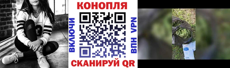 дарнет шоп  Юрьевец  Бошки марихуана ГИДРОПОН 